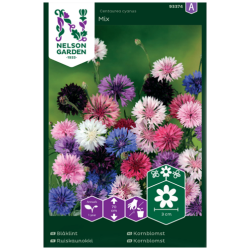 Ruiskaunokki variseos