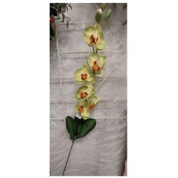 Orkidea n.80cm