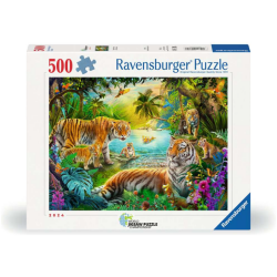 Tiger Family In The Oasis 500p