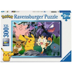 Pokemon 300p