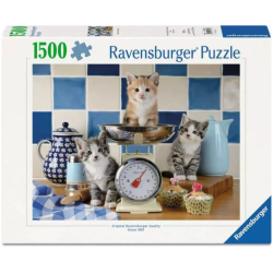 Kittens in the Kitchen 1500p