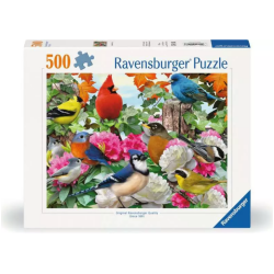 Garden Birds, 500p