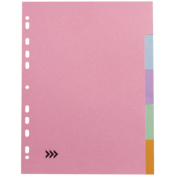 Lyreco Budget valilehti 5-osainen A4 160g kartonki pastelli