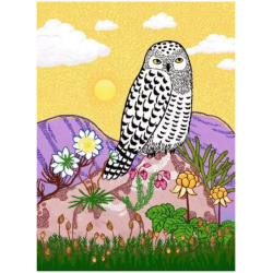 Snowy Owl, 500p